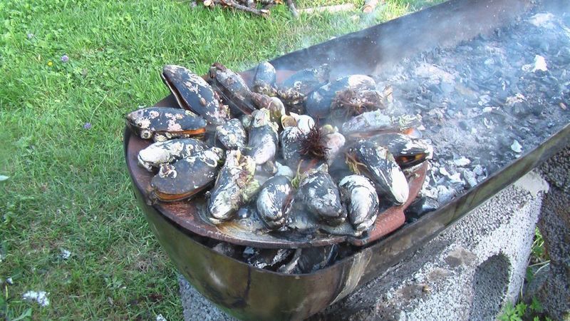 Skandinaviškas mangalas