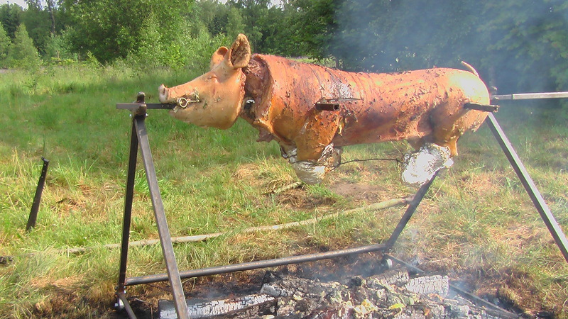 Kiaulės kepimas virš laužo