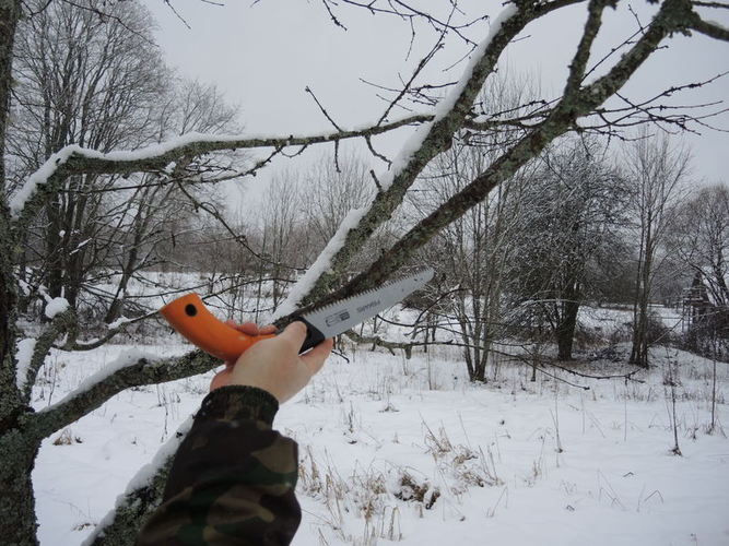 Pjūklu pradžioje pjaunama nuo apačios