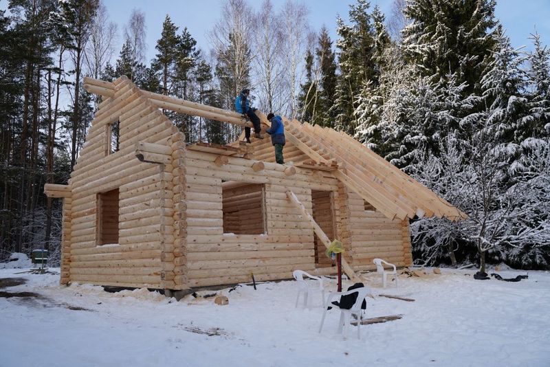 Kokiais atvejais galima statyba miško žemėje