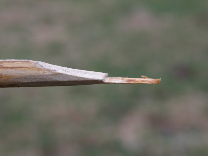 Požievinio skeipijimo įrankis