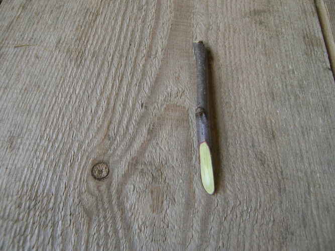 Įstrižo pjovimo skeipas