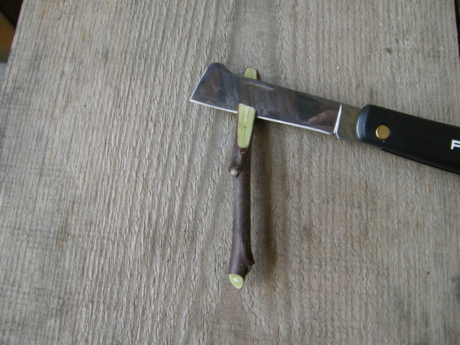 Pagerintas įstrižas