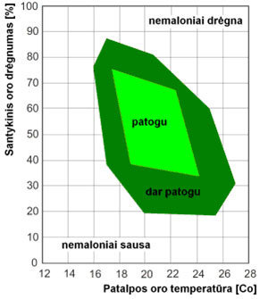 Patalpos oro temperatūros ir galimo šioje oro temperatūroje garų kiekio santykio jutiminis efektas.