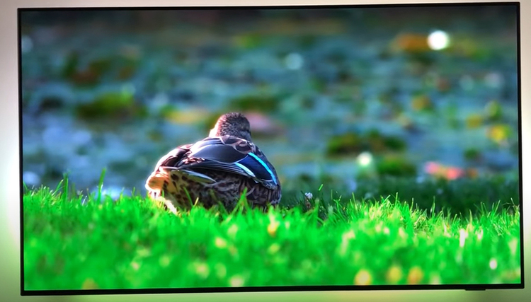 Geriausiai 2021-2022 m. perkamas OLED televizorius