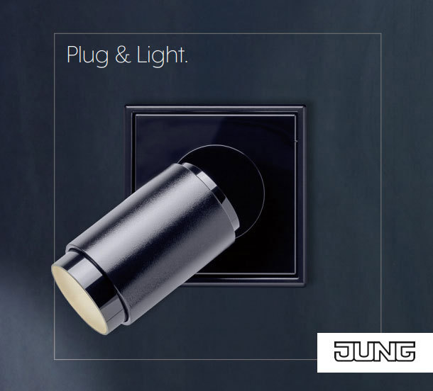 plug and light.