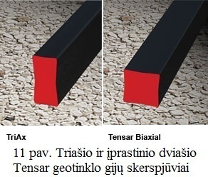 triašio ir dviašio geotinklų gijų skrepjūviai