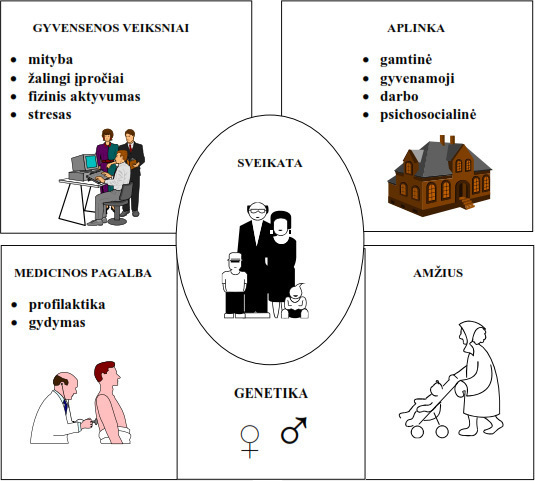 Veiksnių grupės turinčios įtakos sveikatai