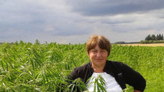 Pluoštinės kanapės nauda