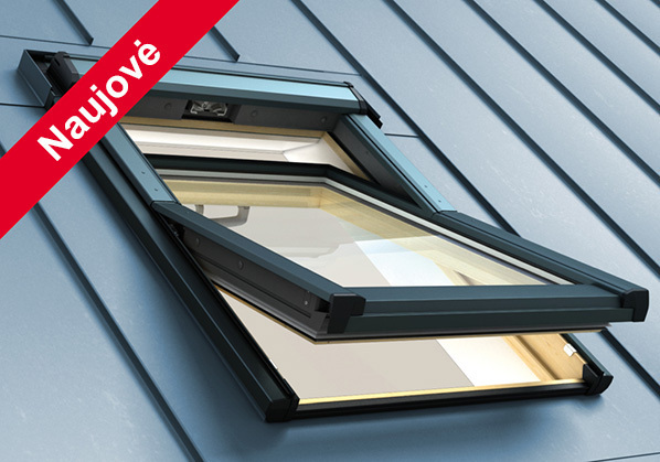 Centrines asies langas