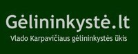 gelininkystes_ukis