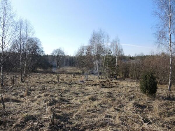 apleisto sklypo tvarkymas