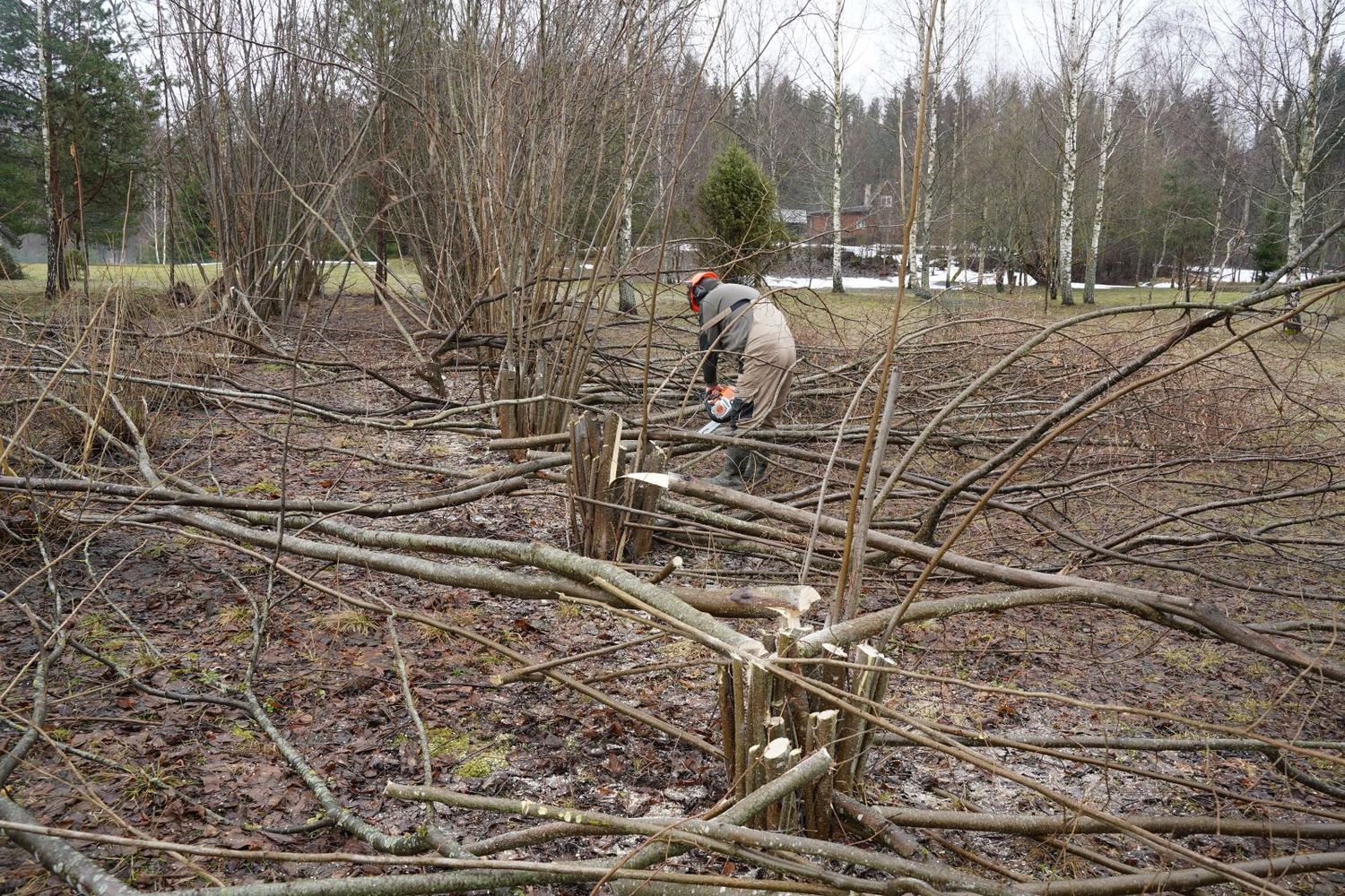 apleistų sklypų tvarkymas kaina