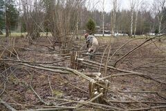 apleistų sklypų tvarkymas kaina