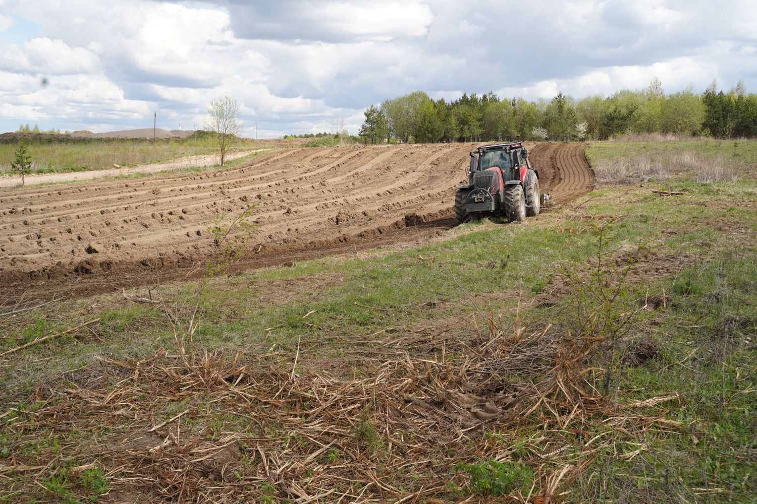 apleistų sklypų tvarkymas Jonavoje