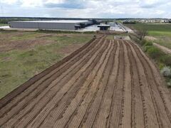 apleistų sklypų tvarkymas Kėdainiuose