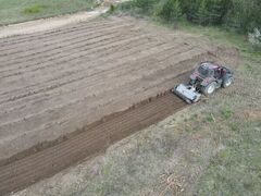 apleistų sklypų tvarkymas alytuje