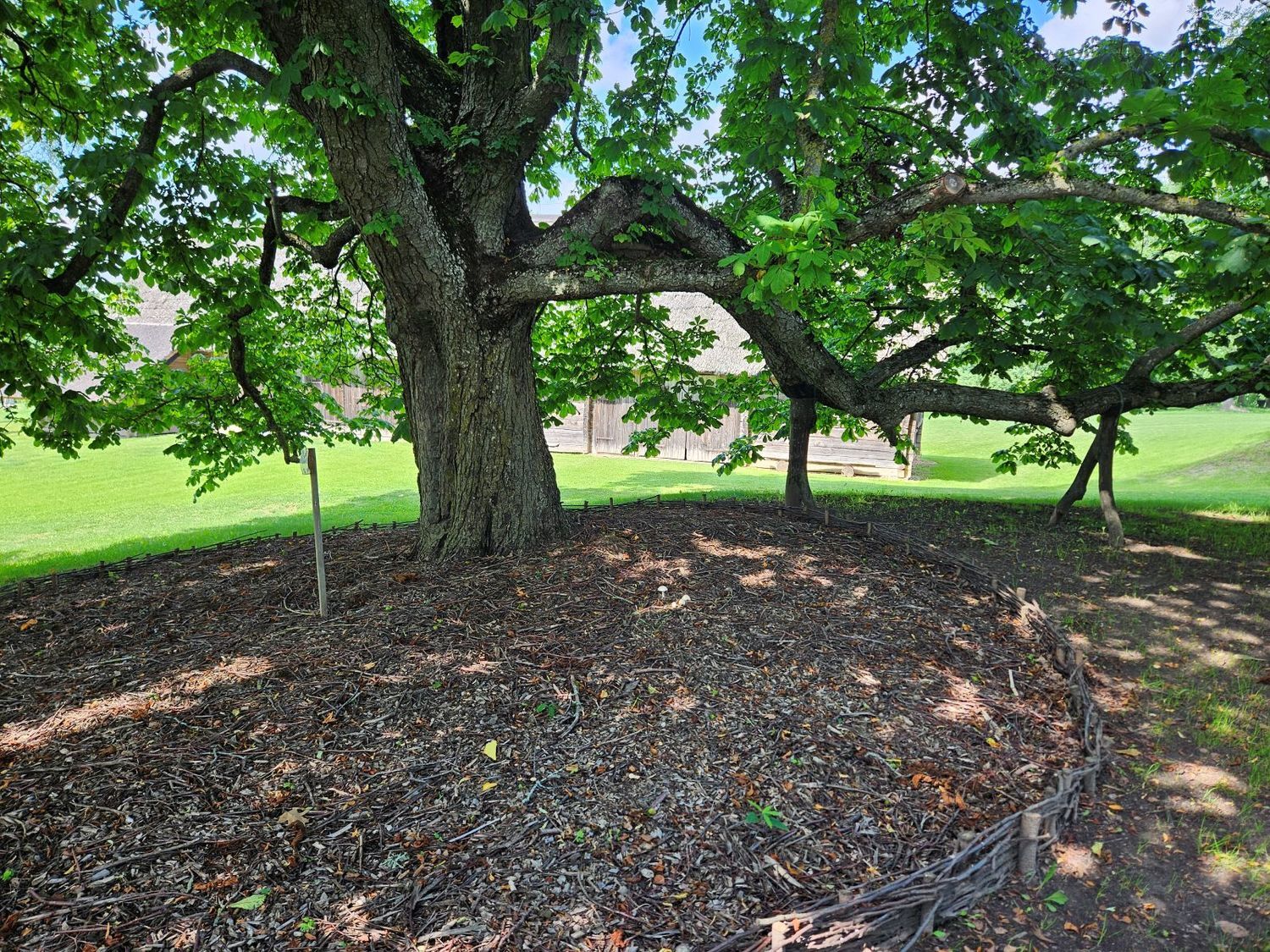 lajos stabilizavimas