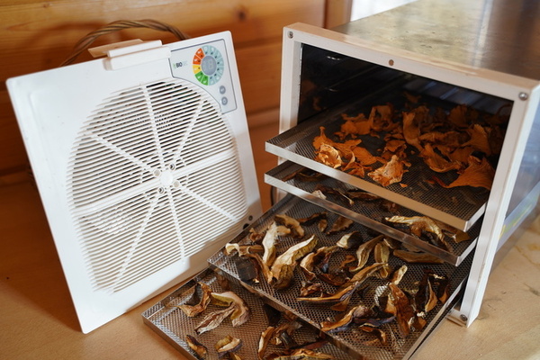 tunelinės džiovyklės