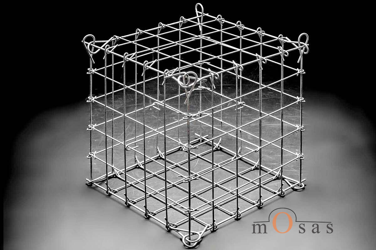 5_Gabionai_mosas_atrox_logo