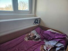 vaiku_kambario_baldai