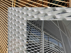 Fasado apdaila iš kirsto metalo tinklo