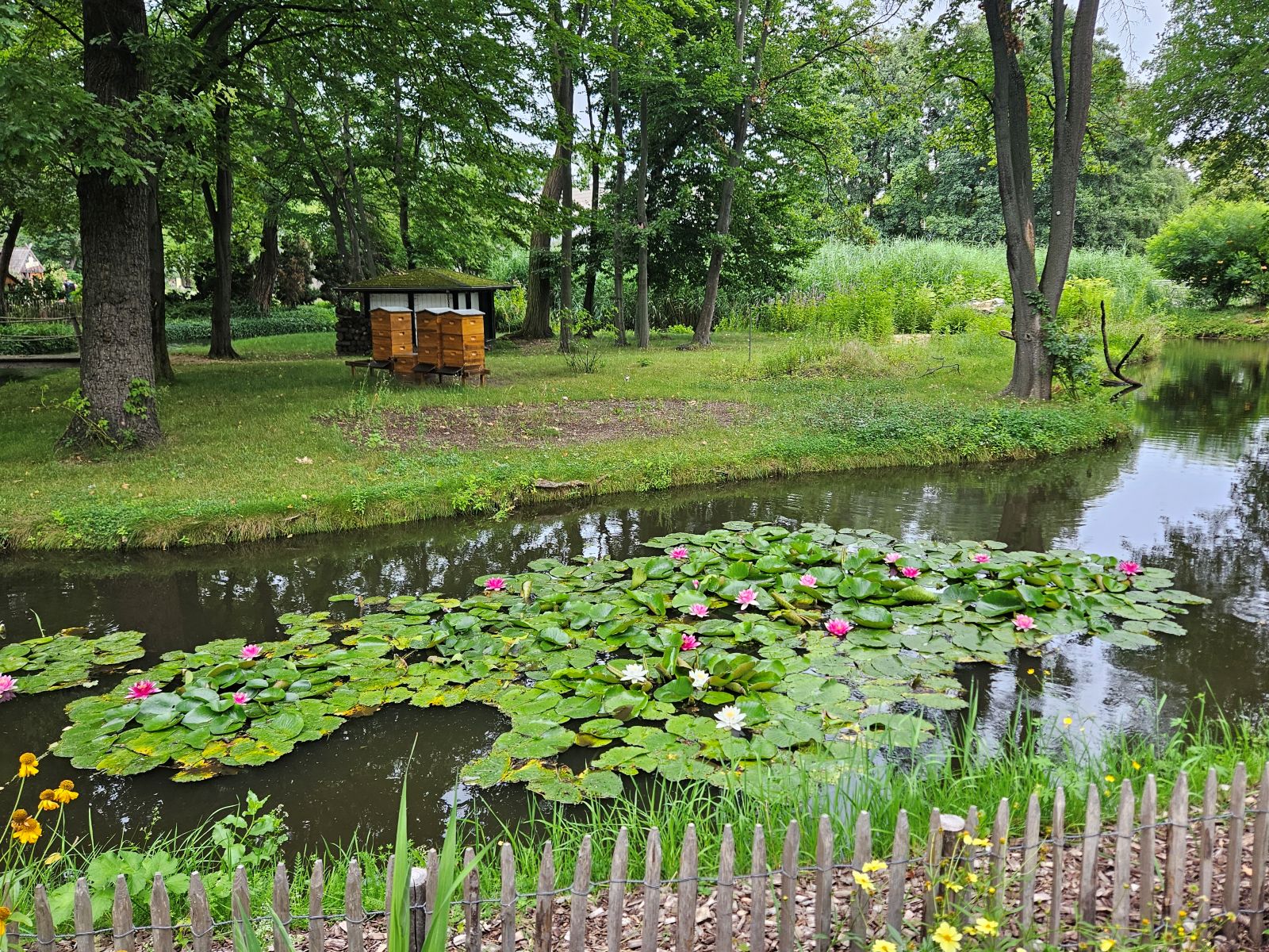 Dekoratyvinis vandens telkinio įrengimas