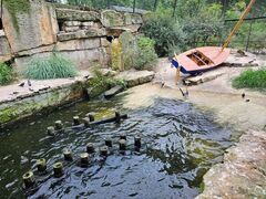 dekoratyvinis_vandens_tvenkinys