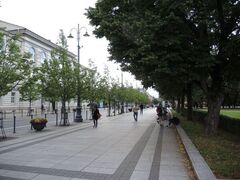 miesto_zeldynai