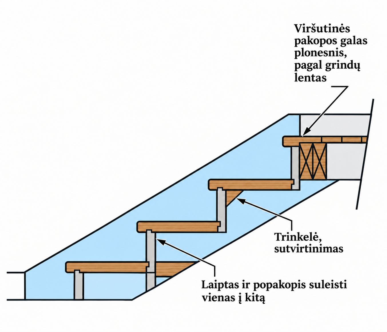 Medinių lapitų konstrukcija
