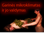 mikroklimatas