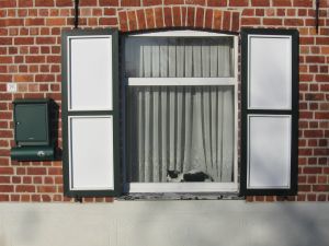 njoying_the_winter_sun