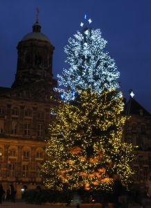 xmas_tree_on_the_dam_square