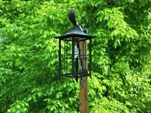 lampion_in_the_park