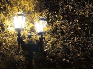 lamp_post_in_an_autumn_night