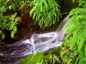 659804_mother_nature_2