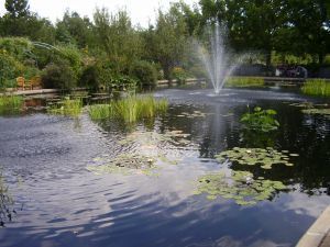926762_the_water_garden_2