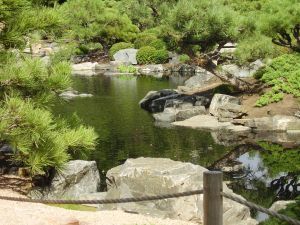 926787_denvers_asian_garden_2