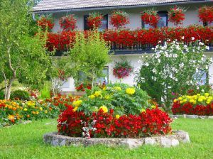 482776 house with flowers