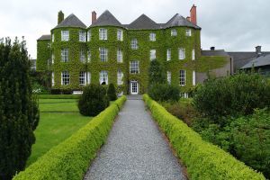 545564 house of vines