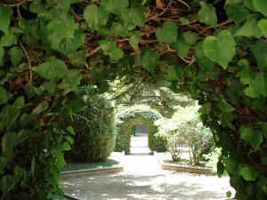 808197 ivy upholstering the arc