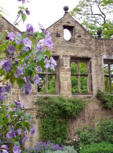 1016698 ruined window