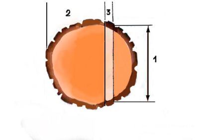 Skersmens schema: 1) kryptinė įpjova, 2) nuvertimo prapjova, 3) neprapjautas ruožas (2-3 cm) 