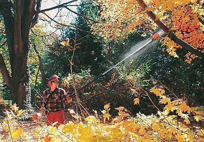 patogus darbas aukštapjove. UAB “GINALAS” nuotr. 