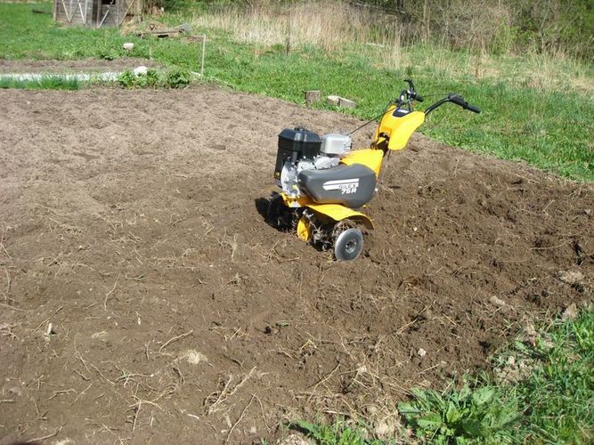 Kultivatoriumi paruošiama žemė, 