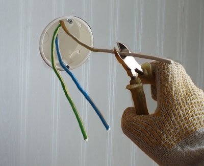 Laidai patrumpinami iki 10 cm ilgio. Autoriaus nuotr. Laidai patrumpinami iki 10 cm ilgio. Autoriaus nuotr.