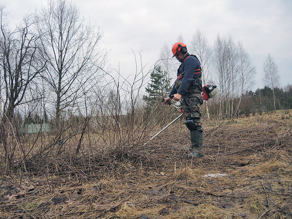 Kaip išsirinkti trimerį