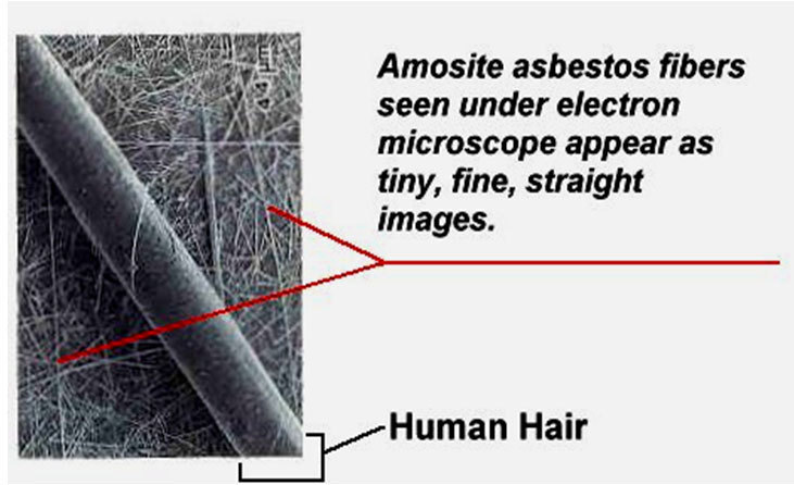 Azbestas ir žmogaus plaukas