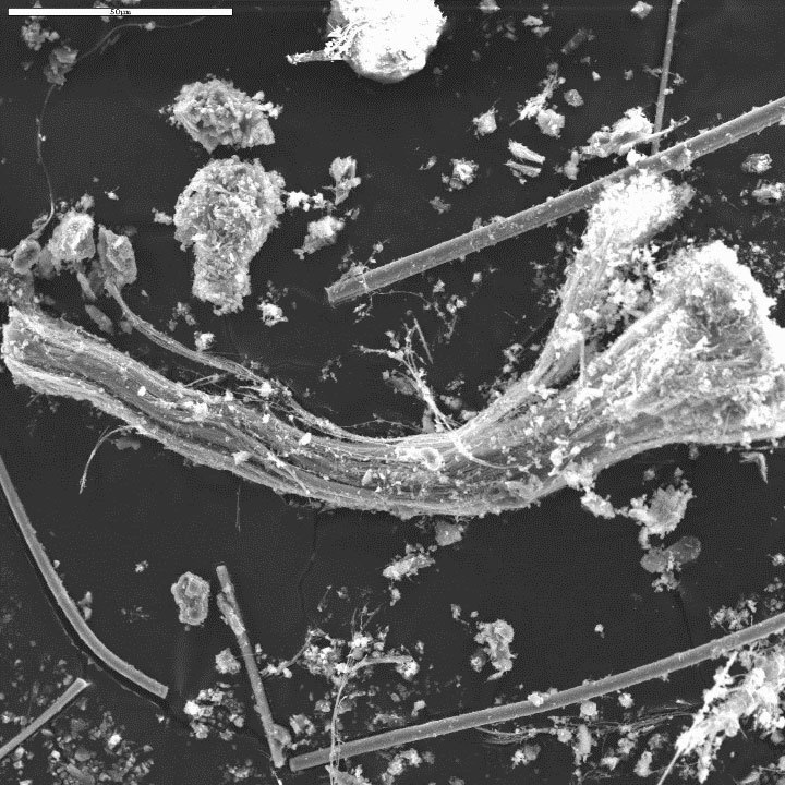 Pro mikroskopa matomas chrizotilo pluostas, esantis dangoje ant plieno sijos