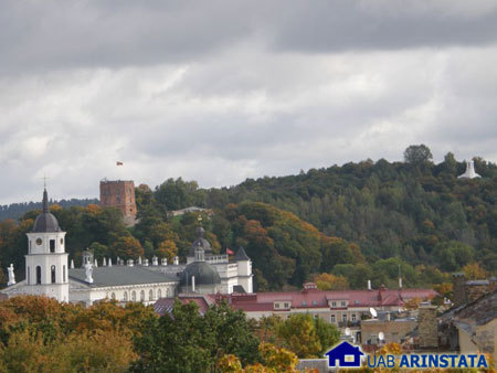 Vilniaus stogai